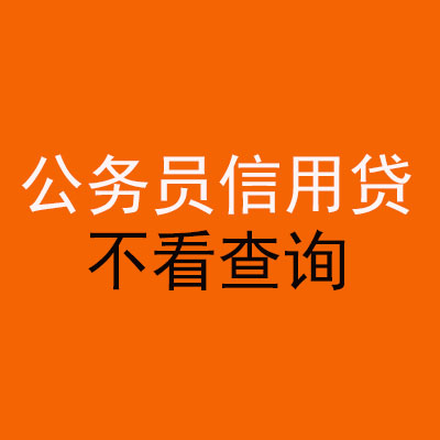 宜秀公务员信用贷款
