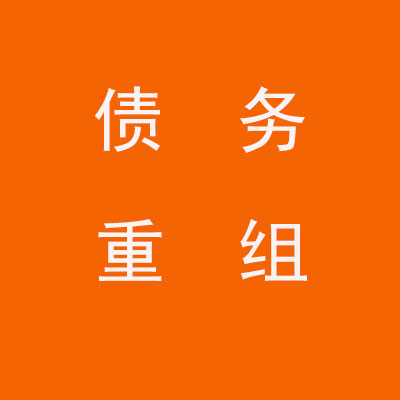 宜秀个人债务重组优化